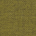HT0019 var.11